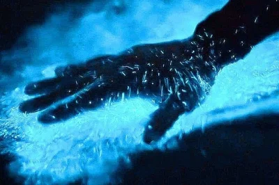 Puerto vallarta, santuario los arcos: nuota nelle acque luminose, goditi il tramonto in barca e ascolta le storie della guida. include drink e giubbotto di salvataggio.