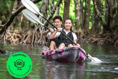 Feel the quiet of ishigaki’s mangroves by sup or canoe, glide past tangled roots, spot wildlife up close, and enjoy a relaxing eco-friendly day with local guides—gear and hot showers included.