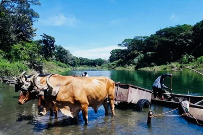 Guanacaste, fiume tempisque e fauna selvatica, ceramiche chorotega con artigiani locali, pranzo tradizionale cotto a legna e degustazione di caffè fresco. include trasferimenti e guida locale.