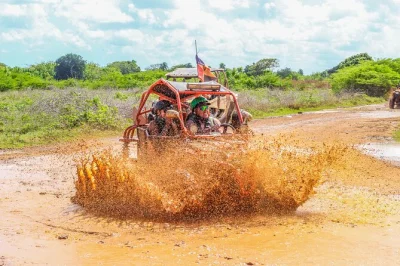 Explore as trilhas de punta cana dirigindo seu próprio buggy, prove cacau e mamajuana em uma fazenda dominicana, nade em uma gruta refrescante e relaxe na praia de macao. traslado incluso.
