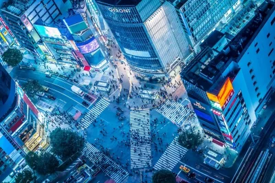 Vivi il cuore di tokyo con un tour a piedi a shibuya: attraversa il celebre incrocio, scopri i bar accoglienti di nonbei yokocho e termina alla statua di hachiko. tutte le spese incluse.