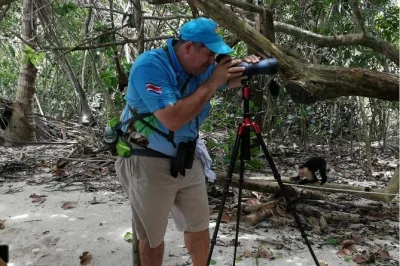 Découvrez la forêt tropicale de manuel antonio : observez paresseux, singes et oiseaux lors d’une balade guidée, puis profitez de la plage. collations et usage de télescope inclus.
