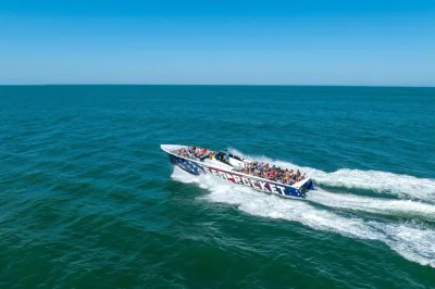 Feel the salt spray on a sea rocket speed boat cruise in ocean city, searching for dolphins with a local crew. includes all fees and departs from downtown ocmd.