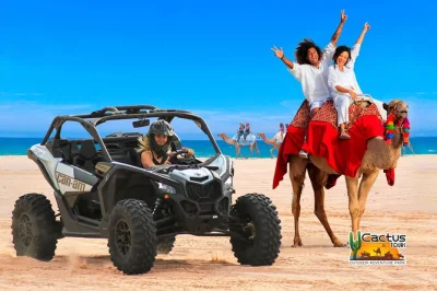 Siente la emoción de un paseo en maverick sxs por las dunas de playa migriño, conoce camellos de cerca y disfruta una cata de tequila en los cabos. incluye traslado y comida.