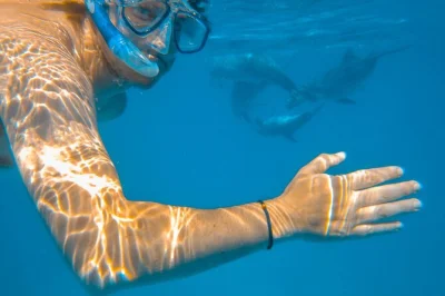 Inizia con una colazione swahili, fai snorkeling sulle barriere coralline di wasini, visita le grotte degli schiavi e gusta un pranzo di pesce fresco vista mare. include trasferimento e attrezzatura c