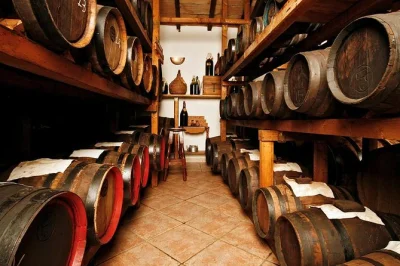 Descubra a acetaia cavedoni perto de módena com tour guiado pelo vinagre balsâmico, passeio pelos vinhedos e degustação de vinagres envelhecidos, queijos, embutidos locais e lambrusco. inclui comi
