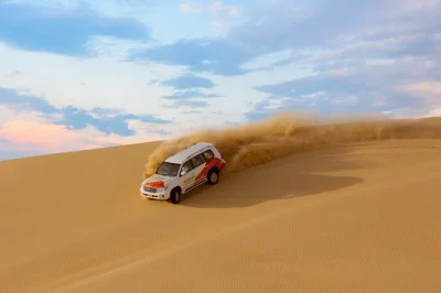 Ride a quad bike, visit a camel farm, and try sandboarding on this morning desert safari from abu dhabi. includes hotel pickup and 4x4 dune drive.