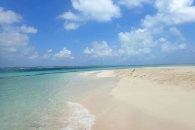 Swim the grand turk wall, meet stingrays at gibbs cay, and taste fresh conch salad—includes snorkeling gear, rum punch, and a local guide-led boat trip.