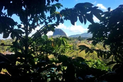 Start your medellin day trip with exotic fruit tasting, climb el peñol rock, tour a working coffee farm, and stroll guatape’s colorful streets. includes pickup.
