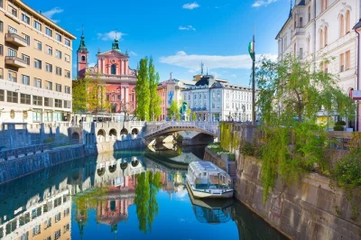 Découvrez ljubljana depuis la rivière, les ruelles et les toits lors de cette visite guidée avec croisière, balade dans la vieille ville, dégustation de gâteau local et vue imprenable. guide et 