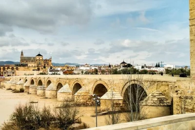 Tour privado em córdoba saindo de sevilha com guia. visite a mesquita-catedral, bairro judeu, patios e a ponte romana. inclui transporte e ingressos.