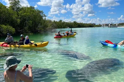 Explorez les mangroves de bonita springs en kayak transparent ou en sup, observez les dauphins et profitez des plages isolées. guide, photos et équipement inclus.