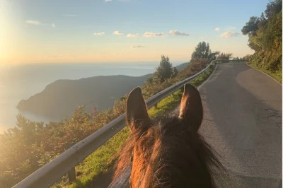 Sinta a brisa do mar em um passeio a cavalo acima de monterosso al mare, por trilhas na mata de cinque terre com um grupo pequeno. capacete e cavalo selado incluídos.
