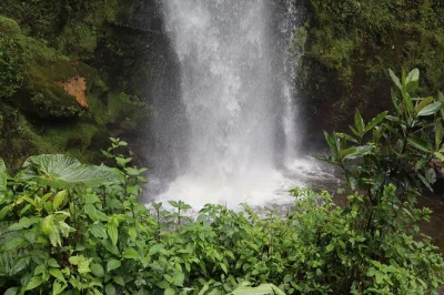 Feel the mist at colombia’s tallest waterfalls, hike cloud forests near bogotá, share local meals, and hear muisca stories—includes breakfast, lunch, and transfers.