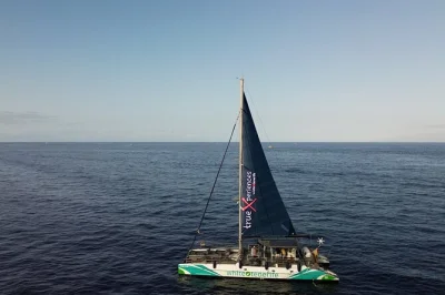 Vivi la brezza marina sulla costa sud di tenerife, avvista balene e delfini, ascolta i loro suoni sott’acqua, nuota e fai snorkeling con snack e bevande inclusi. prenota subito il tuo posto.