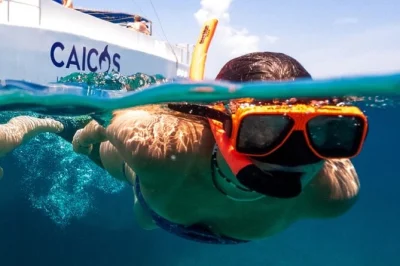 Feel the breeze on a providenciales boat tour with leeward reef snorkeling, a playful slide, and time to wander half moon bay’s sandbar. includes snacks & drinks.