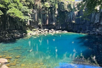 Feel the wild side of jeju with a day trip to mt. halla, jusangjeolli lava cliff, waterfalls, bomunsa temple, and o’sulloc tea museum. includes pickup & guide.