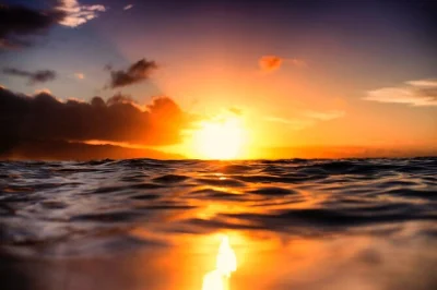 Veja as luzes de waikiki do mar em um passeio de barco com fundo de vidro ao pôr do sol. Água, fotos e equipe local inclusas. acessível para cadeirantes.