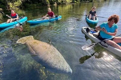 Découvrez silver springs en kayak à fond de verre, au calme sur la rivière. observez lamantins, tortues et statues englouties avec un guide local. matériel inclus et réservation facile.