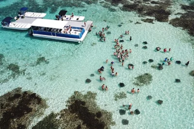Swim with stingrays at stingray city antigua, explore devil’s bridge, relax on long bay beach and enjoy local lunch. includes pickup and snorkeling gear.