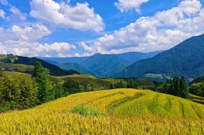 Walk stone steps through longji rice terraces, meet zhuang villagers, and share a local lunch on this private day tour with pickup from guilin or the train station.