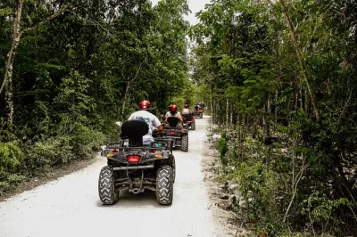 Scopri la giungla di cozumel con un tour privato in atv, visita el cedral, nuota nel cenote jade e gusta tequila con guide locali. include pick-up in hotel.