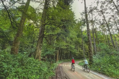 Facile tour in bici di 10 km a monte verde con guida locale, fotografo professionista e supporto 4x4. partenze mattina o pomeriggio. prenota la tua avventura ora!