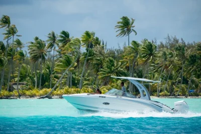 Feel the quiet thrill of bora bora’s lagoon on a private snorkeling tour, with manta rays, coral gardens, and a guide who listens. includes hotel pickup & snacks.