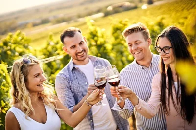 Entdecke die besten weingüter im casablanca valley, probiere bio-weine und genieße ein entspanntes mittagessen im tanino. inklusive abholung und lokalen guides.