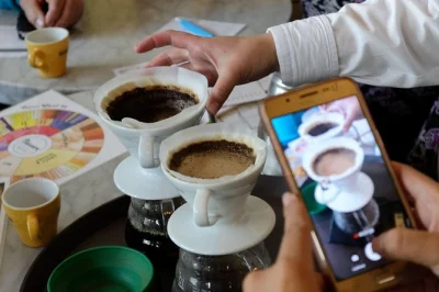 Let a bogota coffee expert guide you through specialty tastings, colombian coffee history, and pro brewing tips in chapinero. small groups, includes all tastings.