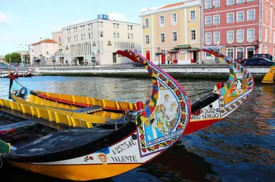 Scopri aveiro con un giro in moliceiro tra i canali, visita l’antica università di coimbra e ascolta le storie di una guida locale. tour in piccolo gruppo con pick-up da porto incluso.