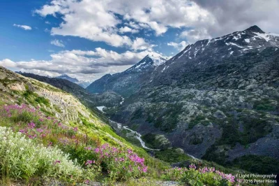 Feel the wild edge of alaska on a skagway to yukon day trip—walk the suspension bridge, see white pass peaks, and travel with a local guide. includes pickup.