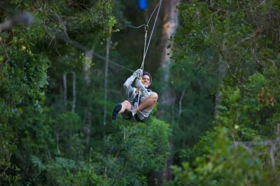 Feel the rush on africa’s first canopy zipline in tsitsikamma, glide above ancient yellowwood trees with local guides, and enjoy safe lockers and bottled water included.