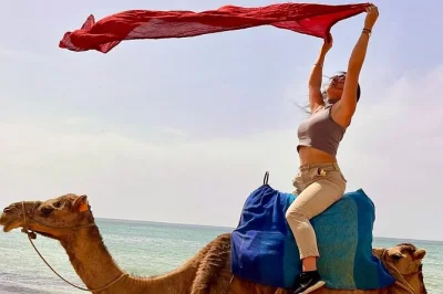 Feel the atlantic breeze in tangier with a camel ride, explore hercules caves, stroll perdicaris park & relax with air-conditioned transport. small group pickup included.