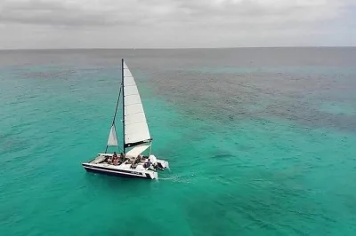 Sail barbados’ west coast on a small catamaran with open bar, sea turtle snorkeling at carlisle bay, bajan buffet lunch, and relaxed local crew. includes gear.