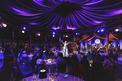 Vivi la magia di vienna con lo strauss dinner show: orchestra dal vivo, balletto e cucina viennese nel cuore del prater. biglietto d’ingresso e cena inclusi.