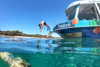 Excursion en bateau à la demi-journée depuis medulin vers le cap kamenjak. nagez, faites du snorkeling, savourez un déjeuner local frais et profitez des criques secrètes d’istrie.