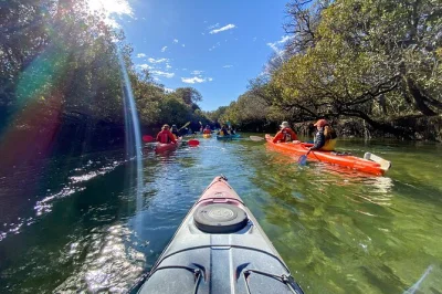 Paddle through adelaide’s dolphin sanctuary and ships graveyard with a local guide, spot wild dolphins, explore mangrove creeks and shipwrecks. includes all kayak gear.