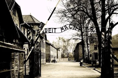 Besuche auschwitz & birkenau bei einer geführten tagestour ab krakau mit hotelabholung, museumseintritt und hin- und rücktransfer für einen entspannten ablauf.