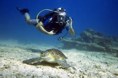 First-time scuba diving in playa del carmen with a private instructor, photos & videos included, plus hotel pickup. no experience needed—just bring curiosity.