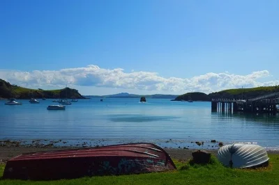 Explore waiheke’s twin headlands on a private guided walk. includes lunch, ferry transfers, and local insights. small group, scenic trails, book now.
