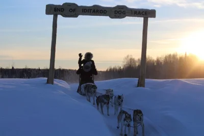 Vive la emoción de conducir tu propio equipo de perros de trineo en talkeetna, conoce huskies campeones del iditarod, juega con cachorros y recorre un auténtico criadero de perros de carrera con gu�