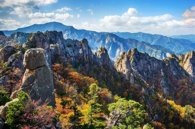Feel the crisp air at mt. seorak, stroll nami island’s tree-lined paths, and ride the gapyeong rail bike—all with pickup from seoul and a friendly local guide.