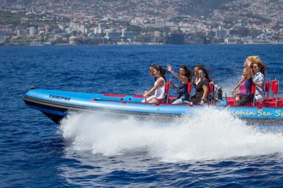 Madeira, funchal: emozionante tour in motoscafo per vedere delfini, balene e la fauna marina con guida esperta e biologo marino. include tasse e guida locale.