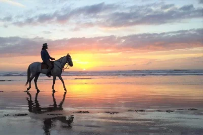 Scopri la costa selvaggia di essaouira con una cavalcata al tramonto tra dune, boschi di eucalipto e le rovine del palazzo del sultano. gruppi piccoli o tour privati, tutto l’equipaggiamento incluso