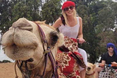 Feel the rhythm of agadir on a camel ride through souss massa, taste local tea & cakes, and enjoy hotel pickup. experience morocco’s colors with a friendly guide.