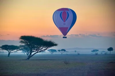 Float above ras al khaimah’s dunes at sunrise, spot wildlife, and end with a short desert safari. includes pickup, light refreshments, and a signed flight certificate.