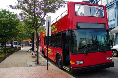 Scopri l’energia di pittsburgh da un bus a due piani scoperto. ammira pnc park, duquesne incline e altro con una guida dal vivo. include mappa e aria condizionata.