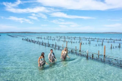 Step into coffin bay’s oyster farms, wade the shallows, taste just-shucked oysters on a boat, and spot seals near brother’s island—includes fresh oysters onboard.