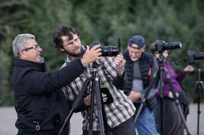 Descubre el lado salvaje de alaska en un tour fotográfico por denali: solo 4 personas, guía experto, seguimiento de luz en tiempo real y equipo incluido. recogida y accesible para todos.